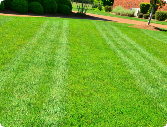 Freshly mowed lawn with bright green grass, neatly striped in a serene garden setting, bordered by trimmed bushes and a red brick path.