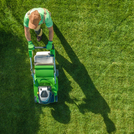 A person in green attire and gloves pushes a lawnmower across a lush green lawn, casting a long shadow in the bright sunlight from an aerial view.