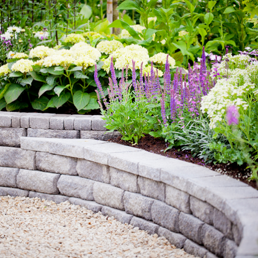 Curved stone wall with vibrant purple and white flowers in lush garden setting. Gravel path in foreground adds texture and serenity.